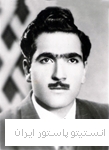 علی ناطق نوجه ده 